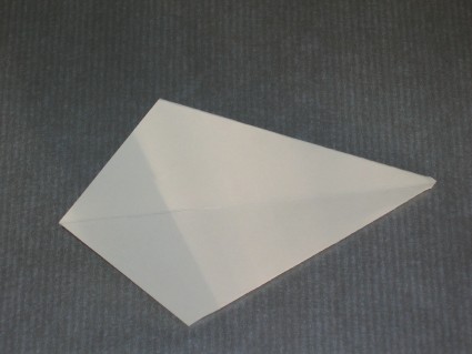 Kite