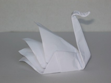 Swan 3