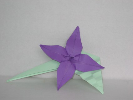 Four Petal Flower 2
