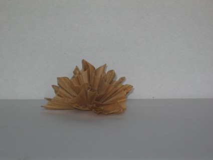 Desert Rose