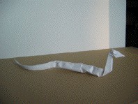 Snake 1