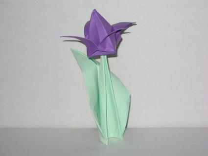 Stem and Leaf 2